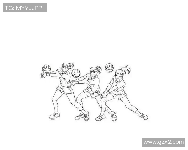 从零基础到排球高手的力量训练全攻略与技巧分享